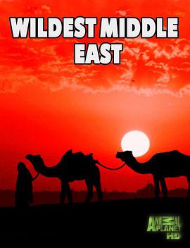 电视剧《中东野生大地  Wildest Middle East》（2015美国）--高清BT迅雷资源下载