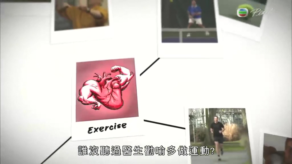 电视剧《膽固醇知多啲》（2014加拿大）--高清BT迅雷资源下载