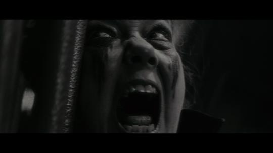 电视剧《暗夜狼人  Werewolf by Night》（2022美国）--高清BT迅雷资源下载