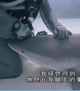 电视剧《重访蓝色星球  Blue Planet Revisited》（2020英国）--高清BT迅雷资源下载