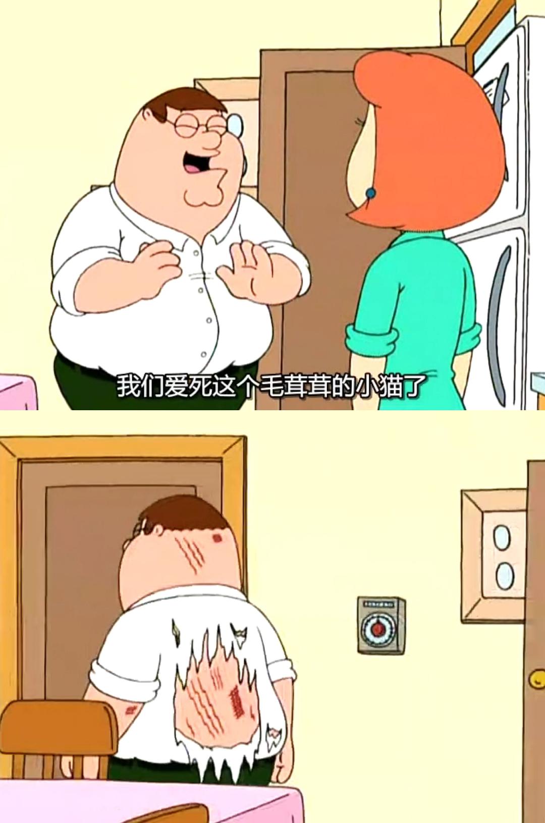 动漫剧《恶搞之家 第一季  Family Guy》（1999美国）--高清4K/1080P迅雷BT资源下载