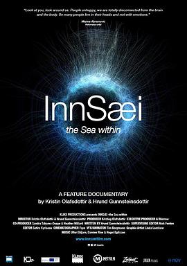 纪录片《InnSaei》（2016Iceland）--高清4K/1080P迅雷BT资源下载