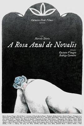 纪录片《诺瓦利斯的蓝玫瑰  A Rosa Azul de Novalis》（2018巴西）--高清4K/1080P迅雷BT资源下载