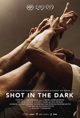 纪录片《黑暗中拍摄  Shot in the Dark》（2017美国）--高清4K/1080P迅雷BT资源下载