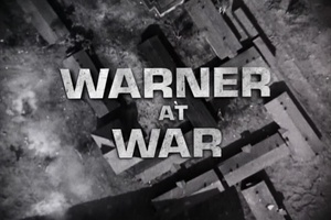 纪录片《Warner at War》（2008美国）--高清4K/1080P迅雷BT资源下载