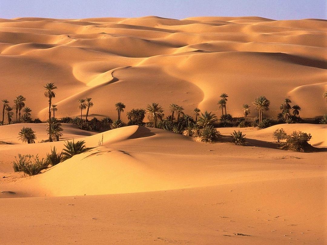 纪录片《世界上最热的地方  The Hottest Place on Earth》（2009英国）--高清4K/1080P迅雷BT资源下载