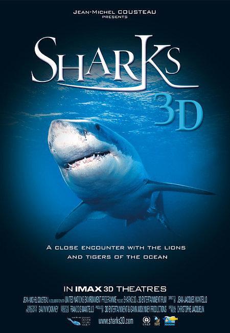 纪录片《鲨鱼3D  Sharks 3D》（2004法国 / 巴哈马 / 英国）--高清4K/1080P迅雷BT资源下载
