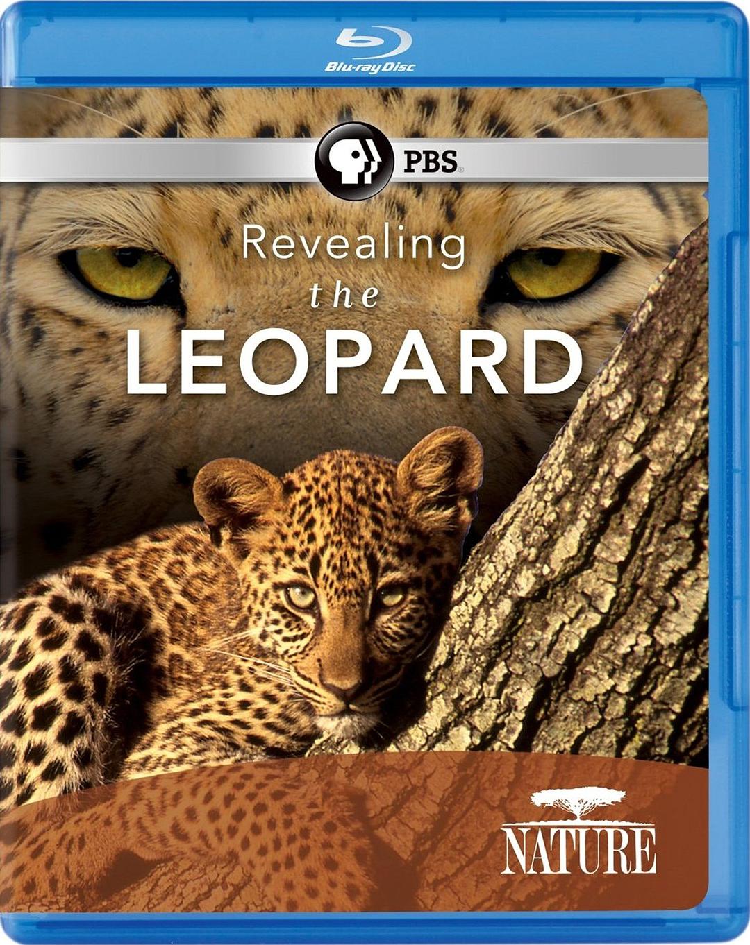 纪录片《揭密美洲豹  Revealing the Leopard》（2010美国）--高清4K/1080P迅雷BT资源下载