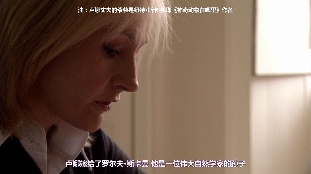 纪录片《J·K·罗琳：生命中的一年  J.K. Rowling: A Year in the Life》（2007英国）--高清4K/1080P迅雷BT资源下载