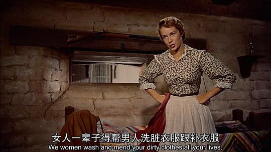 纪录片《搜索者  The Searchers》（1956美国）--高清4K/1080P迅雷BT资源下载