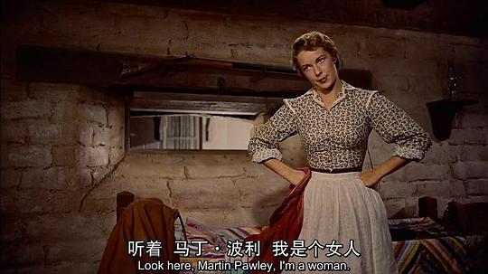 纪录片《搜索者  The Searchers》（1956美国）--高清4K/1080P迅雷BT资源下载