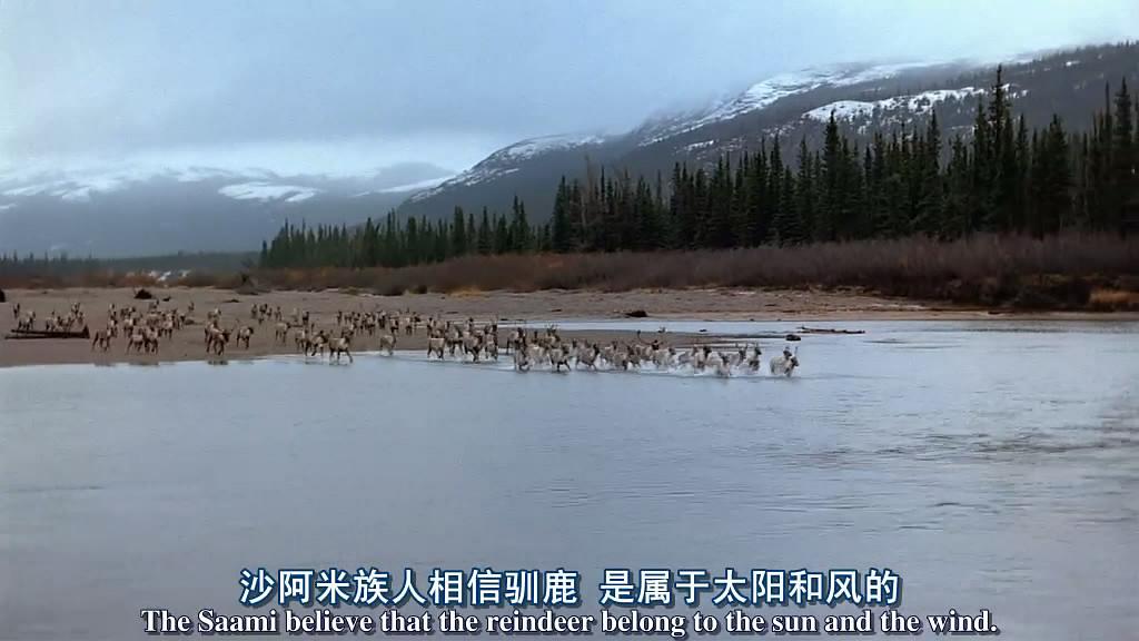 纪录片《大北方  Great North》（2001加拿大）--高清4K/1080P迅雷BT资源下载