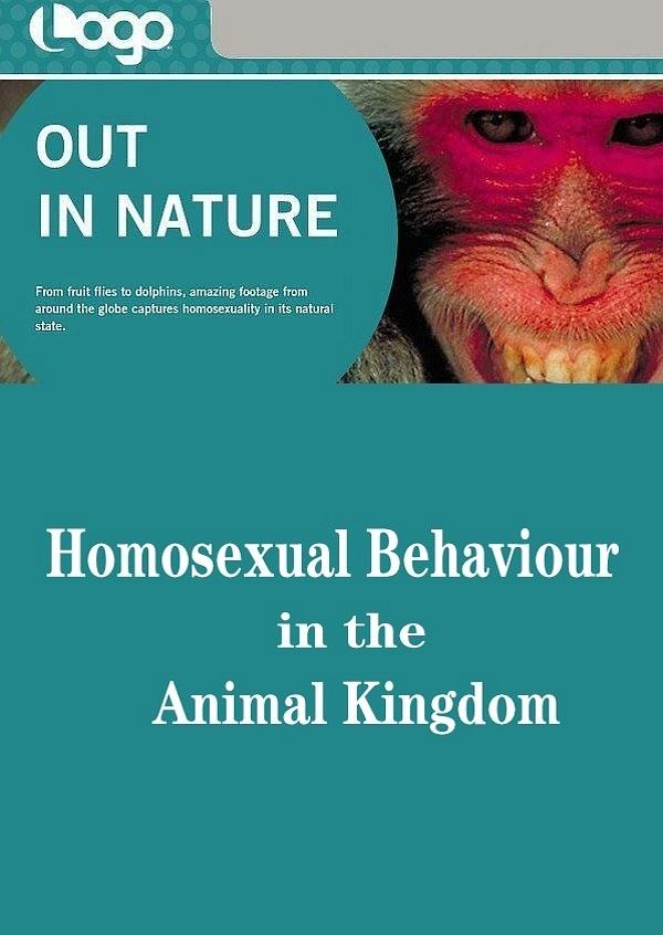 纪录片《动物世界的同性性行为  Out in Nature: Homosexual Behaviour in the Animal Kingdom》（2001英国）--高清4K/1080P迅雷BT资源下载