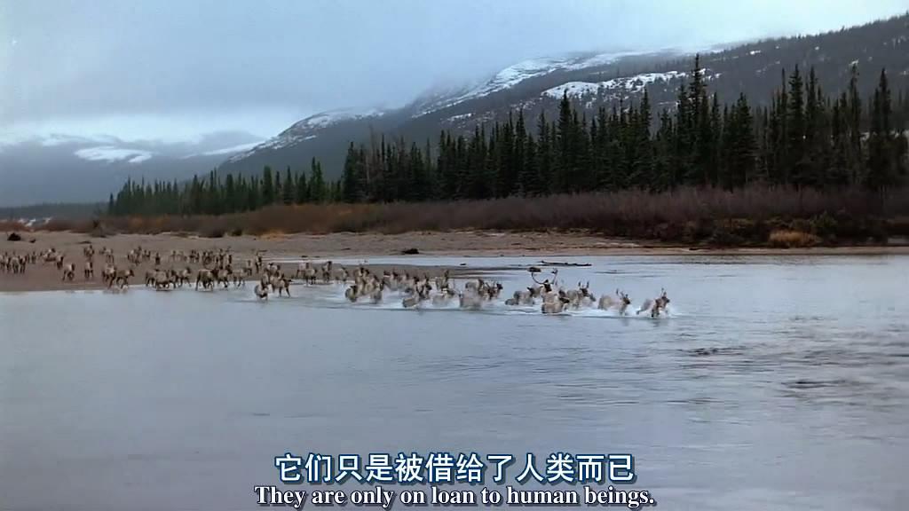 纪录片《大北方  Great North》（2001加拿大）--高清4K/1080P迅雷BT资源下载