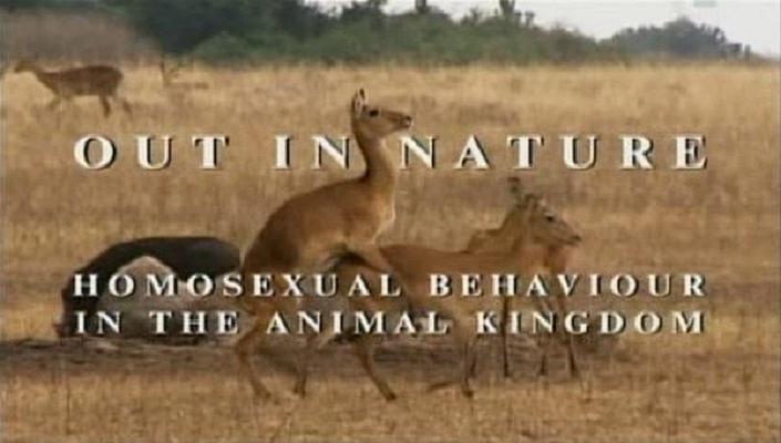 纪录片《动物世界的同性性行为  Out in Nature: Homosexual Behaviour in the Animal Kingdom》（2001英国）--高清4K/1080P迅雷BT资源下载