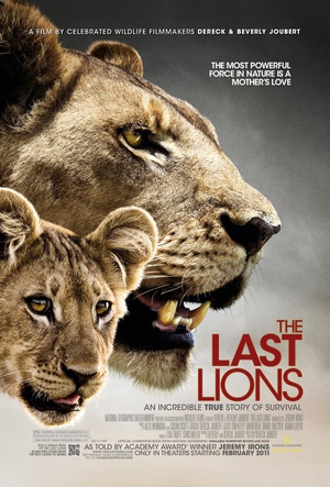 纪录片《最后的狮子  The Last Lions》（2011美国 / 博茨瓦纳）--高清4K/1080P迅雷BT资源下载