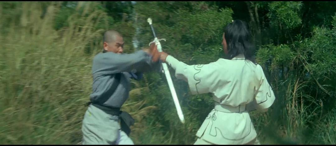 电影《少林与太极  Shaolin.vs.Tai.Chi》（1982中国台湾）--高清4K/1080P迅雷BT资源下载