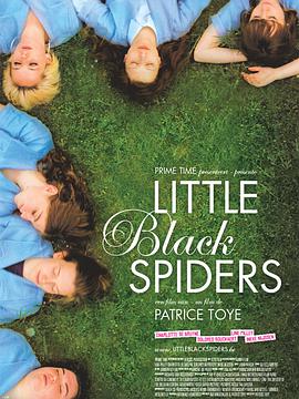 电影《小黑蜘蛛  Little Black Spiders》（2012比利时）--高清4K/1080P迅雷BT资源下载