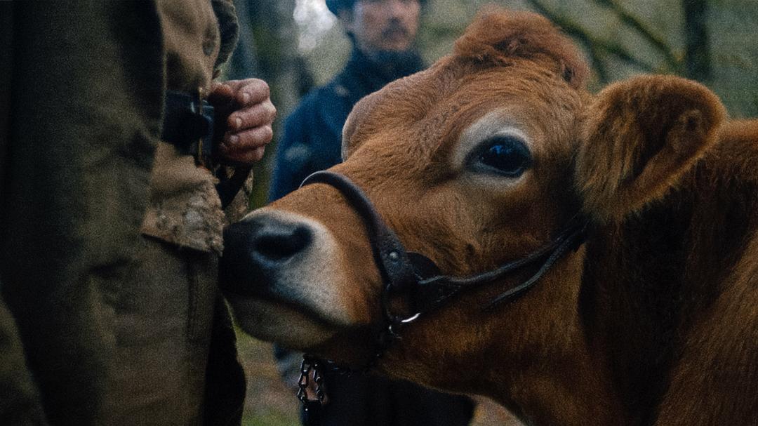 电影《第一头牛  First Cow》（2019美国）--高清4K/1080P迅雷BT资源下载