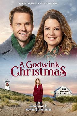 电影《A Godwink Christmas》（2018美国）--高清4K/1080P迅雷BT资源下载