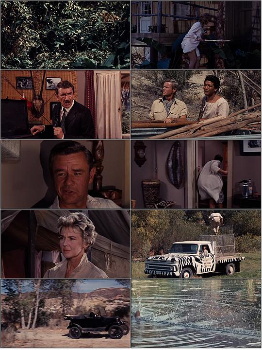 电影《斗鸡眼狮子  Clarence, the Cross-Eyed Lion》（1965美国）--高清4K/1080P迅雷BT资源下载