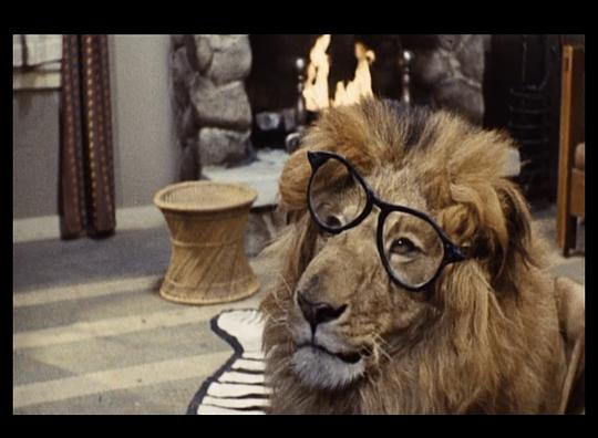 电影《斗鸡眼狮子  Clarence, the Cross-Eyed Lion》（1965美国）--高清4K/1080P迅雷BT资源下载