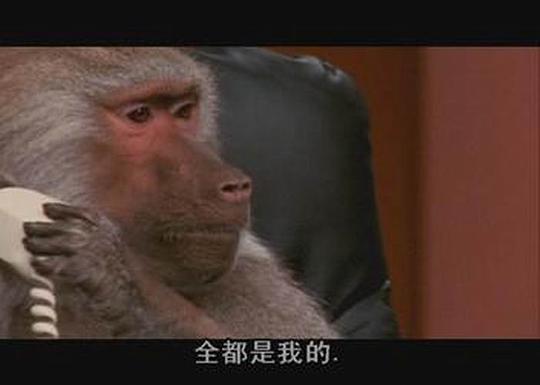电影《神奇的企鹅  Farce of the Penguins》（2006美国）--高清4K/1080P迅雷BT资源下载