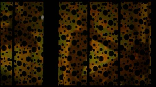 电影《情寻猫脚印  Chacun cherche son chat》（1996法国）--高清4K/1080P迅雷BT资源下载