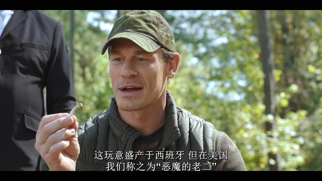 电影《度假伙伴 Vacation Friends》(2021美国)--高清4K/1080P迅雷BT资源下载 电影《度假伙伴 Vacation Friends》(2021美国)--高清4K/1080P迅雷BT资源下载