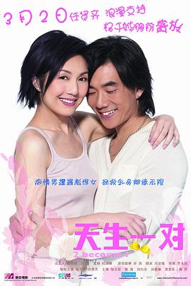 电影《天生一对》（2006中国大陆 / 中国香港）--高清4K/1080P迅雷BT资源下载