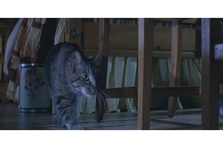 电影《猫眼看人  Cat's Eye》（1985美国）--高清4K/1080P迅雷BT资源下载