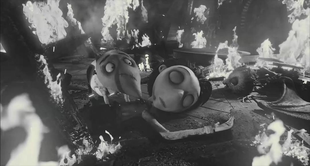 电影《科学怪狗  Frankenweenie》（2012美国）--高清4K/1080P迅雷BT资源下载