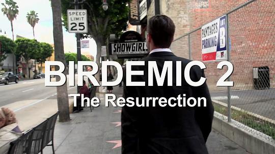 电影《群鸟2：复活  Birdemic 2: The Resurrection》（2013美国）--高清4K/1080P迅雷BT资源下载