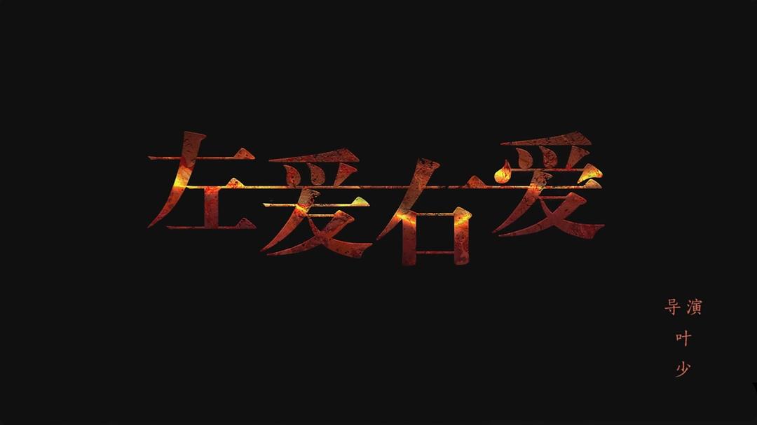 电影《左爱右爱》（2018中国大陆）--高清4K/1080P迅雷BT资源下载