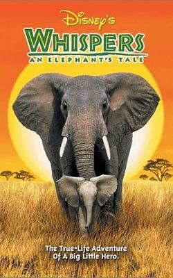 电影《小象的故事  Whispers: An Elephant's Tale》（2000美国）--高清4K/1080P迅雷BT资源下载