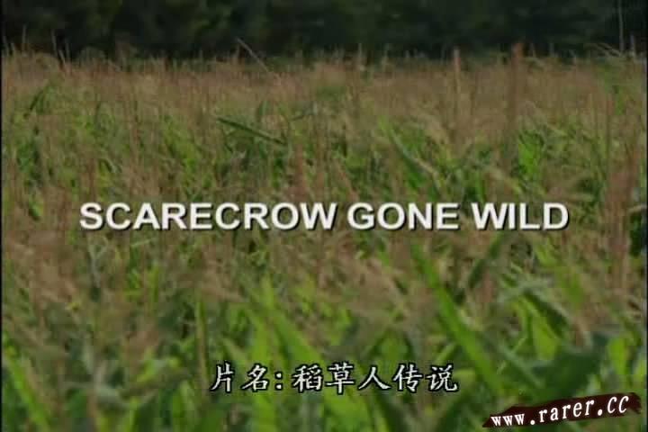 电影《猛鬼夺魂夜  Scarecrow Gone Wild》（2004美国）--高清4K/1080P迅雷BT资源下载