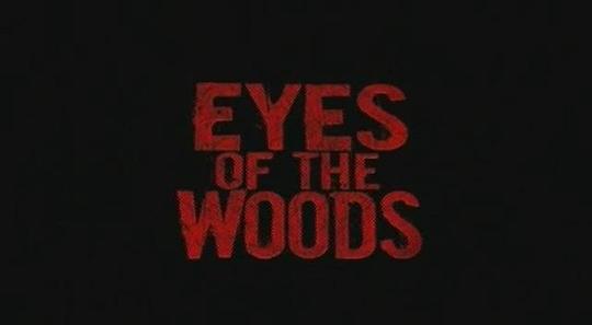 电影《Eyes of the Woods》（2009美国）--高清4K/1080P迅雷BT资源下载