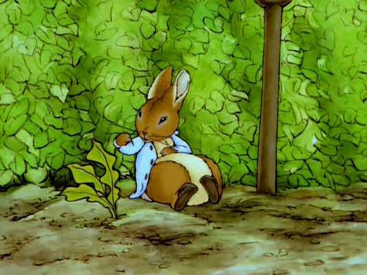 动漫剧《彼得兔和朋友们的世界  The World of Peter Rabbit and Friends》（1992英国）--高清4K/1080P迅雷BT资源下载