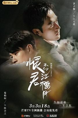 电视剧《恨君不似江楼月》（2021中国大陆）--高清4K/1080P迅雷BT资源下载