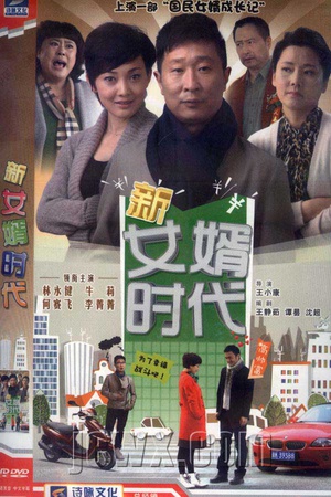 电视剧《新女婿时代》（2012中国大陆）--高清4K/1080P迅雷BT资源下载