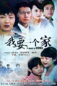 电视剧《我要一个家》（2010中国大陆）--高清4K/1080P迅雷BT资源下载