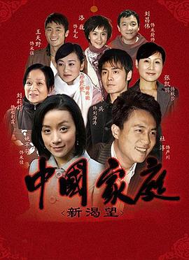 电视剧《中国家庭之新渴望》（2009中国大陆）--高清4K/1080P迅雷BT资源下载