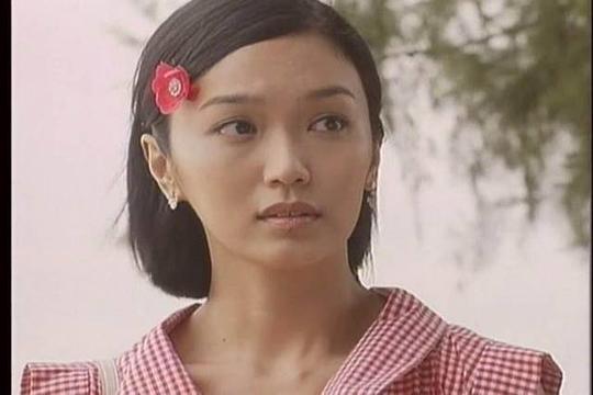 电视剧《小娘惹  The Little Nonya》（2008新加坡）--高清4K/1080P迅雷BT资源下载