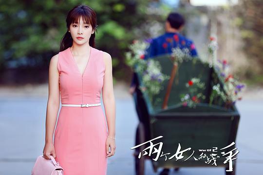 电视剧《两个女人的战争》（2015中国大陆）--高清4K/1080P迅雷BT资源下载