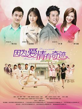 电视剧《因为爱情有奇迹》（2014中国大陆）--高清4K/1080P迅雷BT资源下载