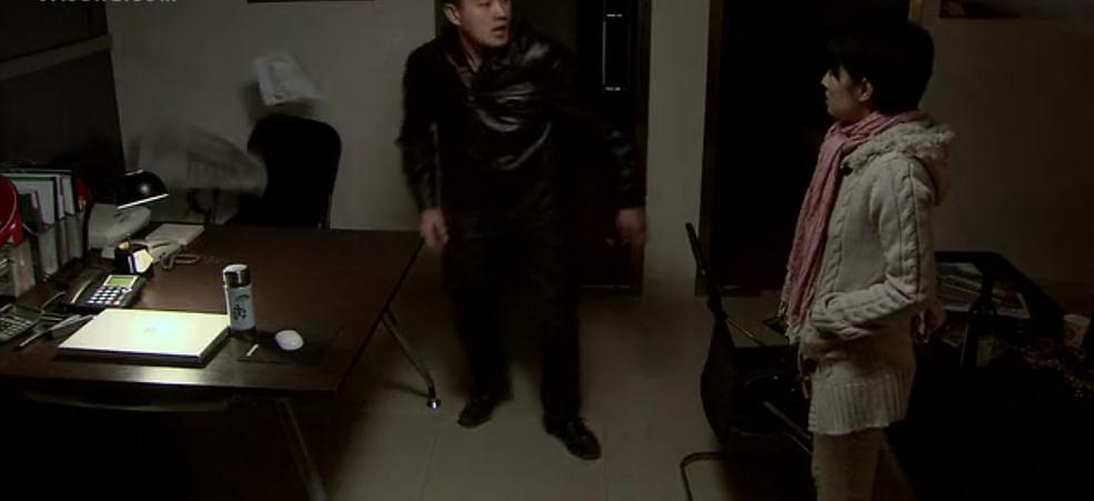电视剧《婚姻保卫战》（2010中国大陆）--高清4K/1080P迅雷BT资源下载