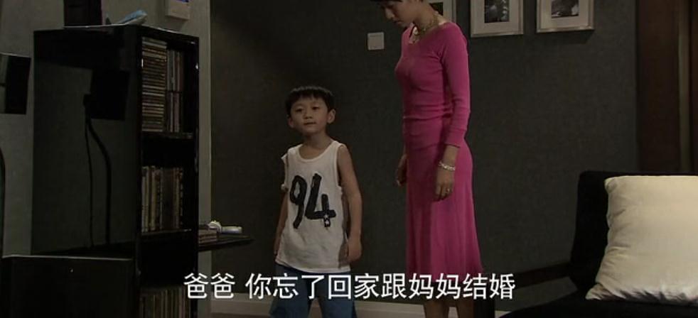 电视剧《婚姻保卫战》（2010中国大陆）--高清4K/1080P迅雷BT资源下载