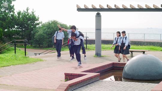 电视剧《只想看着你  君のことだけ見ていたい》（2022日本）--高清4K/1080P迅雷BT资源下载