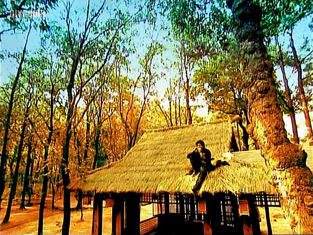 电视剧《萧十一郎》（2002中国大陆）--高清4K/1080P迅雷BT资源下载