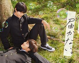 电视剧《无法传达给你  君には届かない。》（2023日本）--高清4K/1080P迅雷BT资源下载
